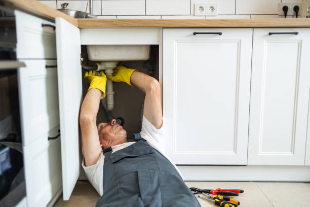 Best Sewer Line Replacement  in Fountain, CO